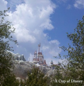 NEWS: Be Our Guest Restaurant Details