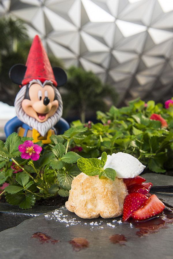 © Disney (Matt Stroshane, photographer)