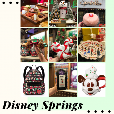 Disney Springs Gift Guide of different food items and merchandise