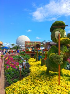 Epcot International Flower and Garden Festival Donald and Huey Duey Louie Topiary