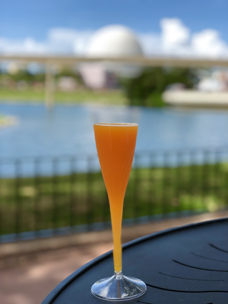 Orange mimosa in front of a blue sky on a black table