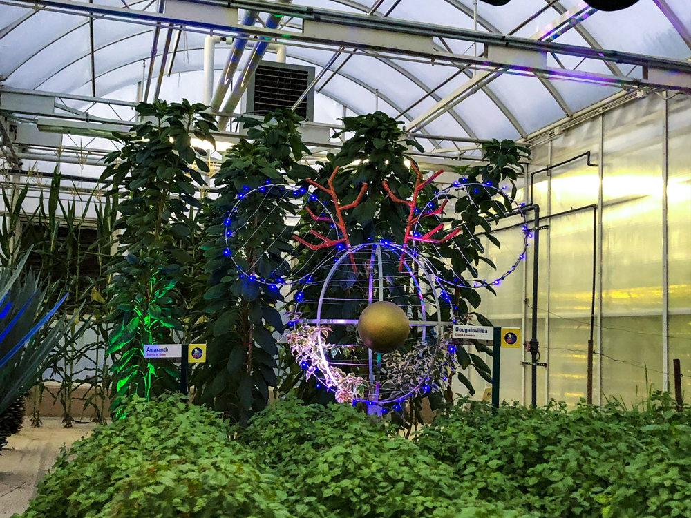 Large topiary with blue lights around green trees