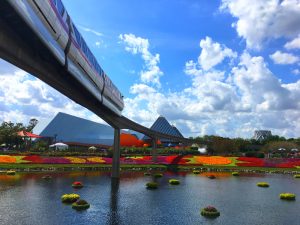 Epcot International Flower and Garden Festival Monorail Flower Carpet