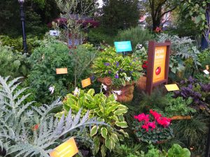 Epcot International Flower and Garden Festival 2018