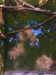 Pandora World of Avatar