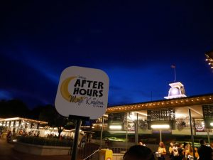 Disney After Hours Magic Kingdom