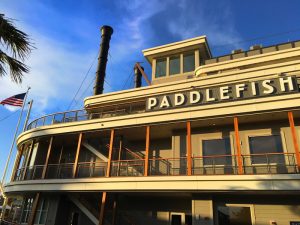 Paddlefish Outside View