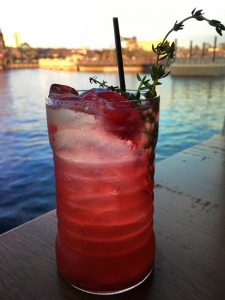 Paddlefish Captain Handsome