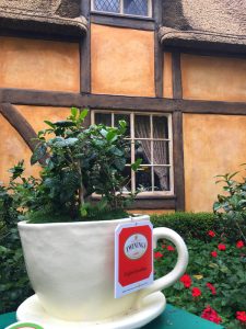 Epcot International Flower and Garden Festival Tea Garden