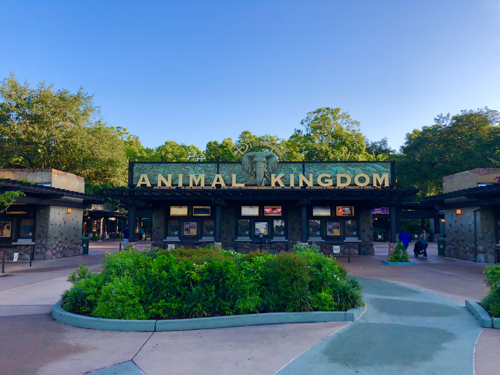 The Lion King Animal Kingdom Entrance