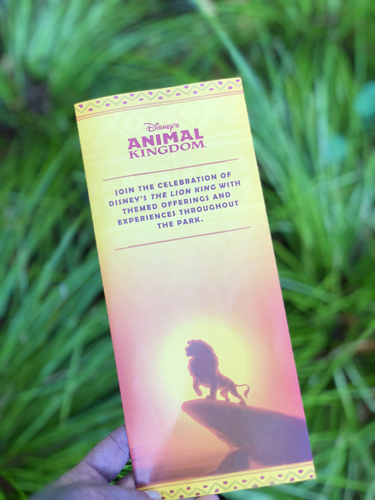 The Lion King Celebration Animal Kingdom Guide