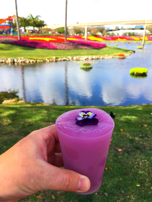 Epcot International Flower and Garden Festival Outdoor Kitchen Violet Lemonade